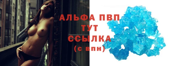 крисы Аркадак