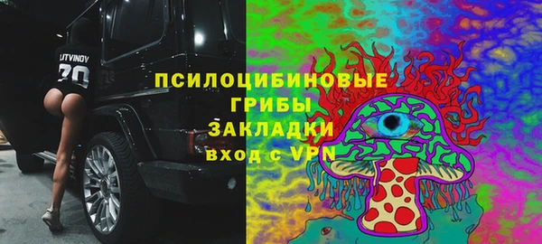 крисы Аркадак