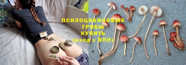 крисы Аркадак