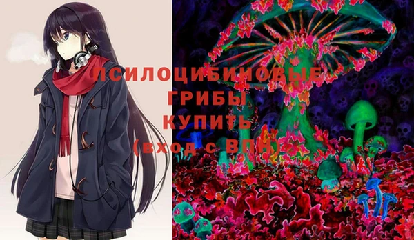 крисы Аркадак